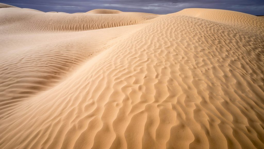 Dunes du Sahara — illustration du Nōmad Man Festival 2026
